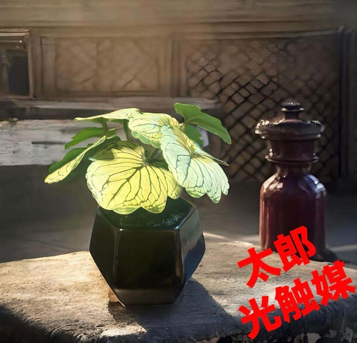 光触媒 人工観葉植物 ウォールグリーン フェイクグリーン モンステラ