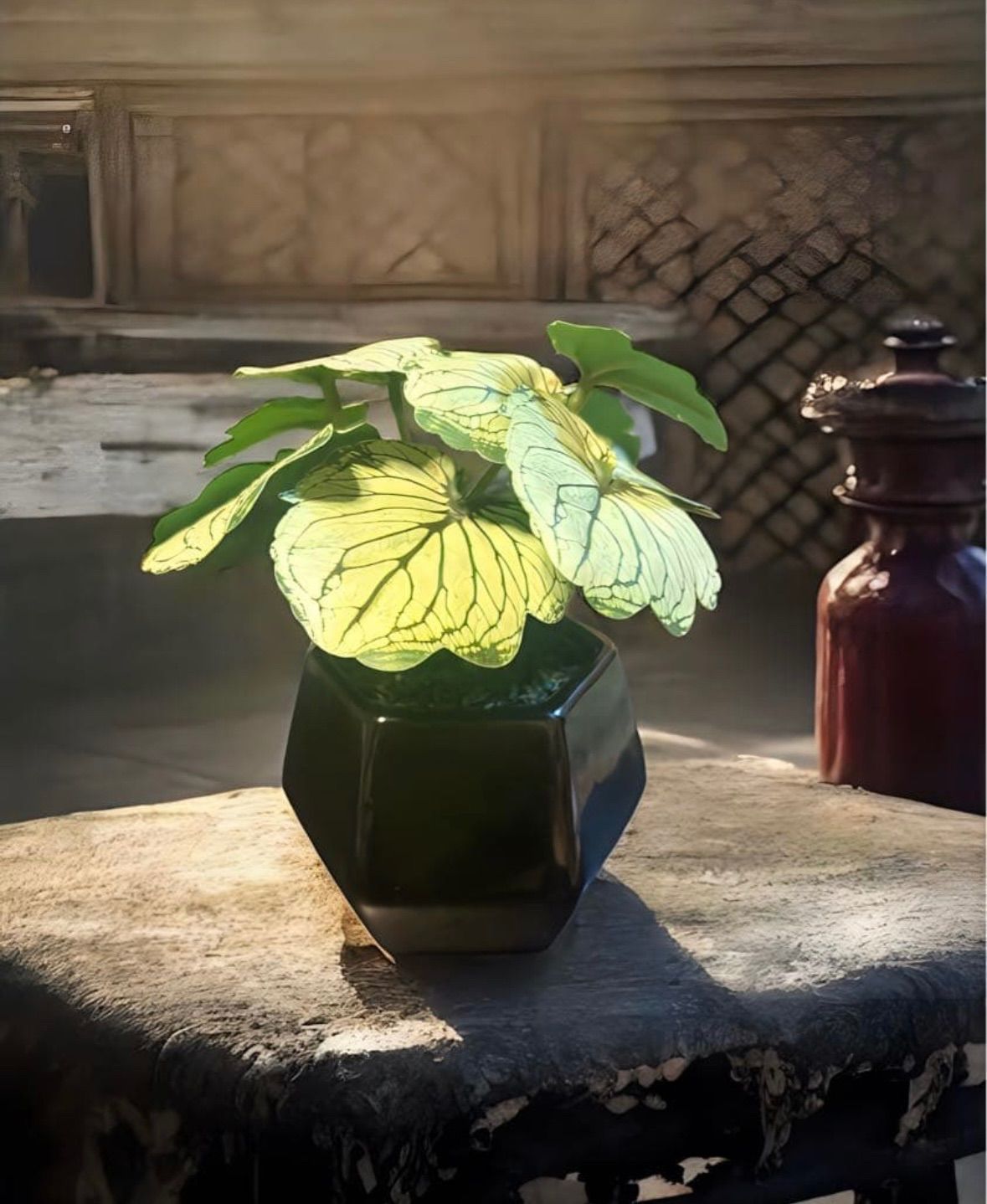 光触媒 人工観葉植物 ウォールグリーン フェイクグリーン モンステラ