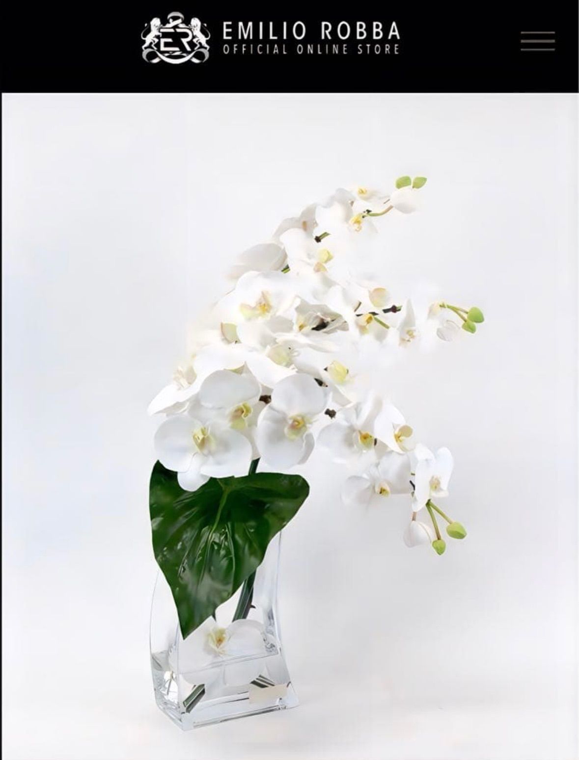 光触媒 観葉植物 フェイクグリーン エミリオロバ ファレノプシス4L