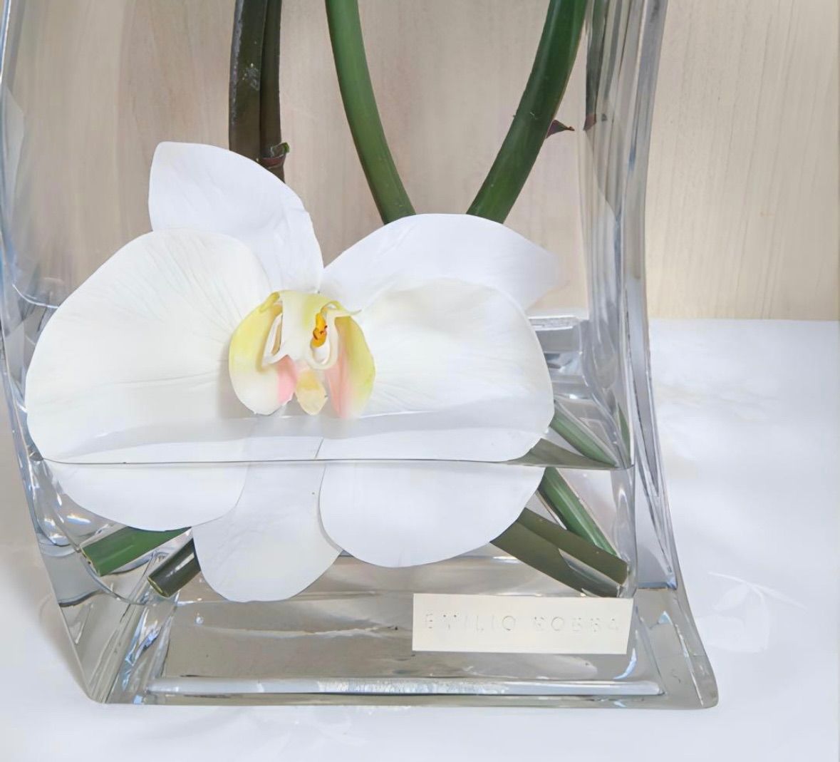 光触媒 観葉植物 フェイクグリーン エミリオロバ ファレノプシス4L