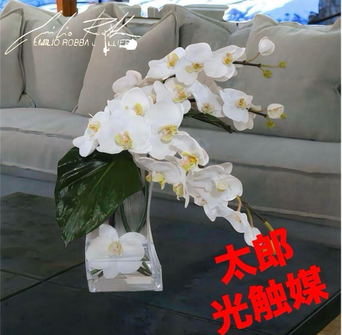 光触媒　観葉植物　フェイクグリーン　エミリオロバ　ファレノプシス4L 胡蝶蘭 光触媒 観葉植物 フェイクグリーン エミリオロバ ファレノプシス4L