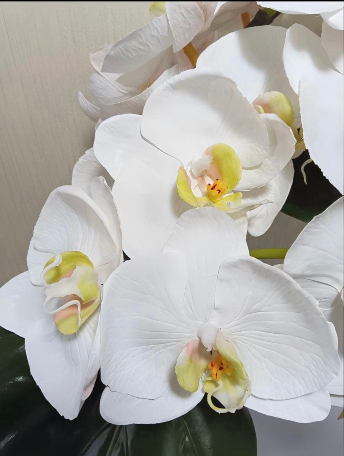 光触媒 観葉植物 フェイクグリーン エミリオロバ ファレノプシス4L