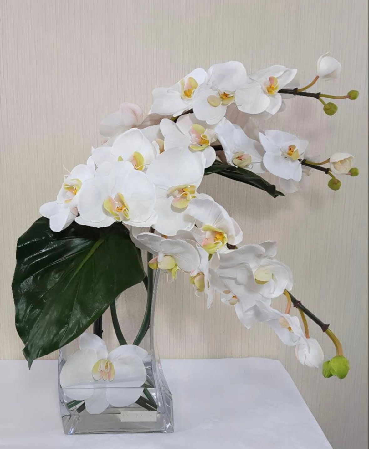 光触媒　観葉植物　フェイクグリーン　エミリオロバ　ファレノプシス4L 胡蝶蘭 光触媒 観葉植物 フェイクグリーン エミリオロバ ファレノプシス4L