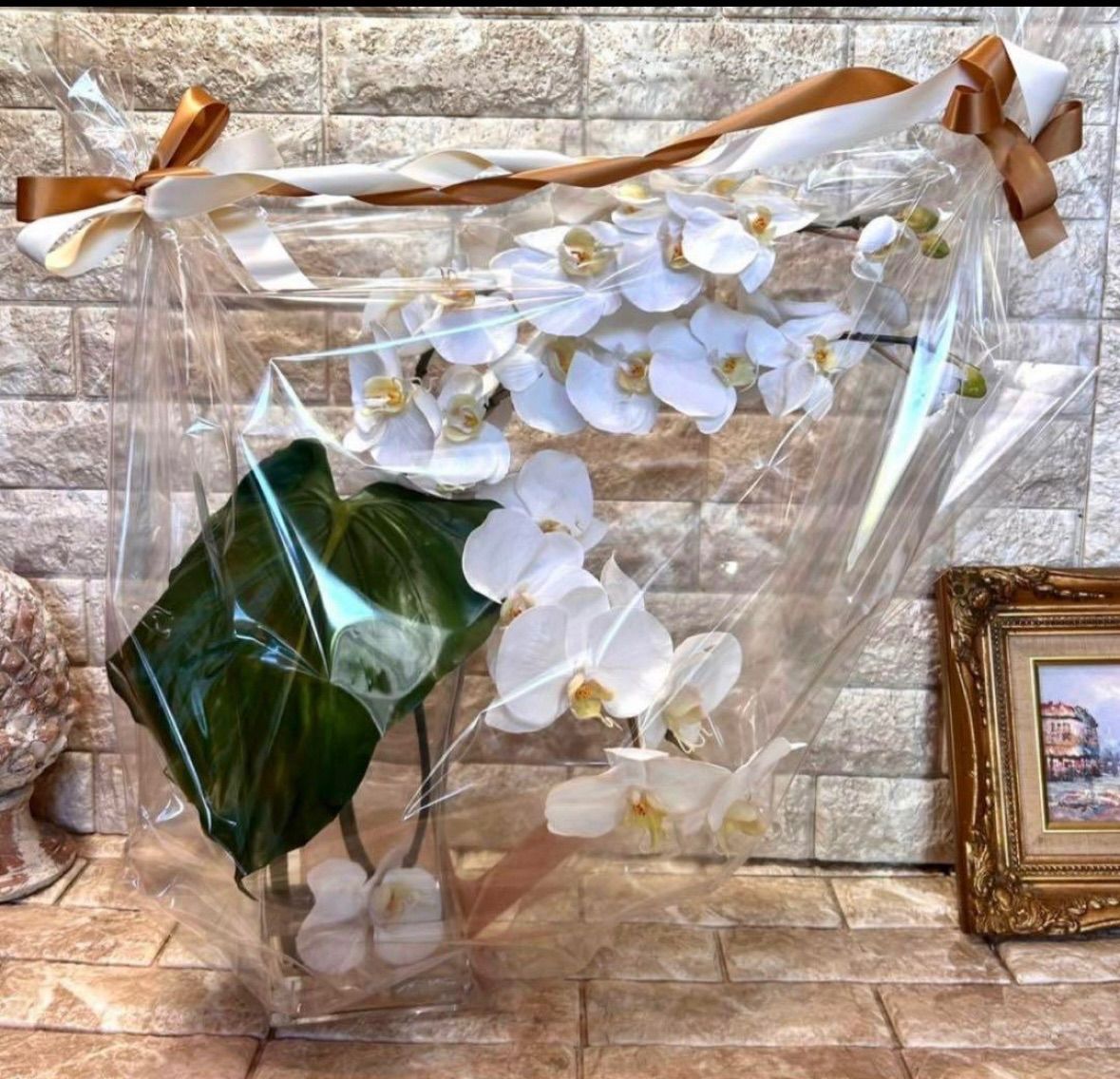 光触媒 観葉植物 フェイクグリーン エミリオロバ ファレノプシス4L