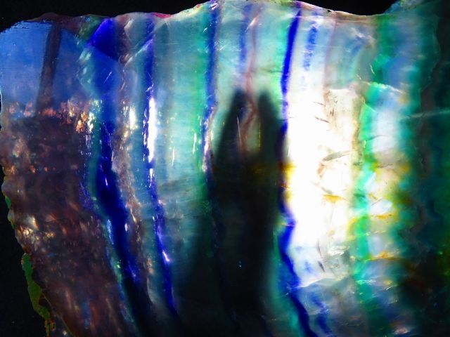 超迫力超巨大 〇ｔｒ16964