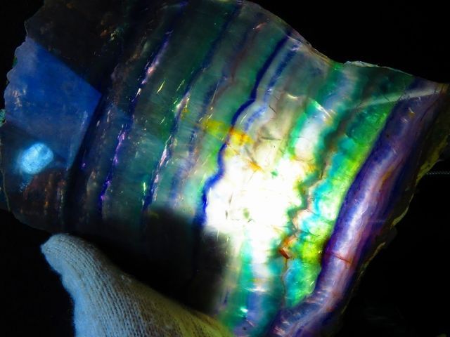 台付き 超迫力超巨大