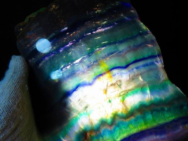 1エンジェルフェザー