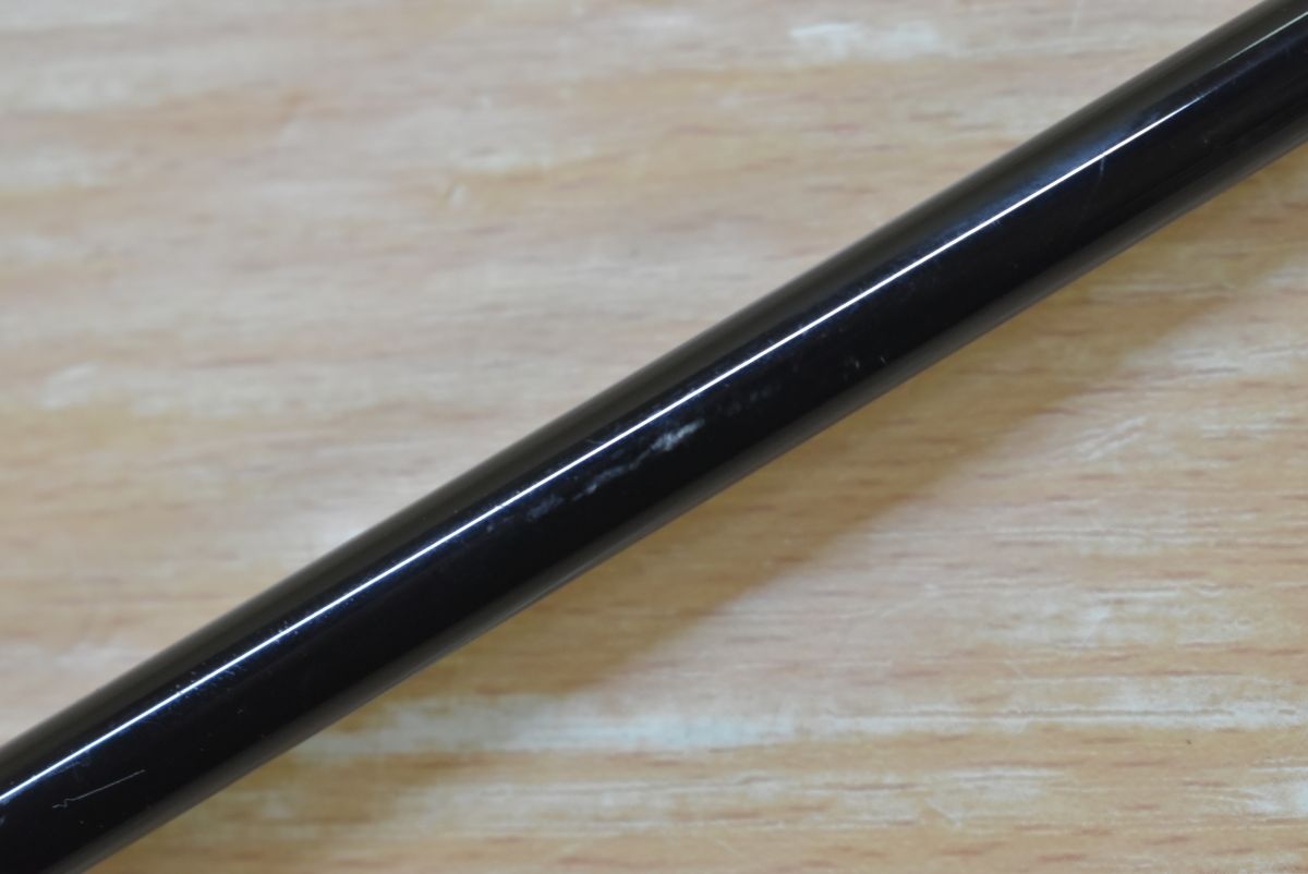 エバーグリーン