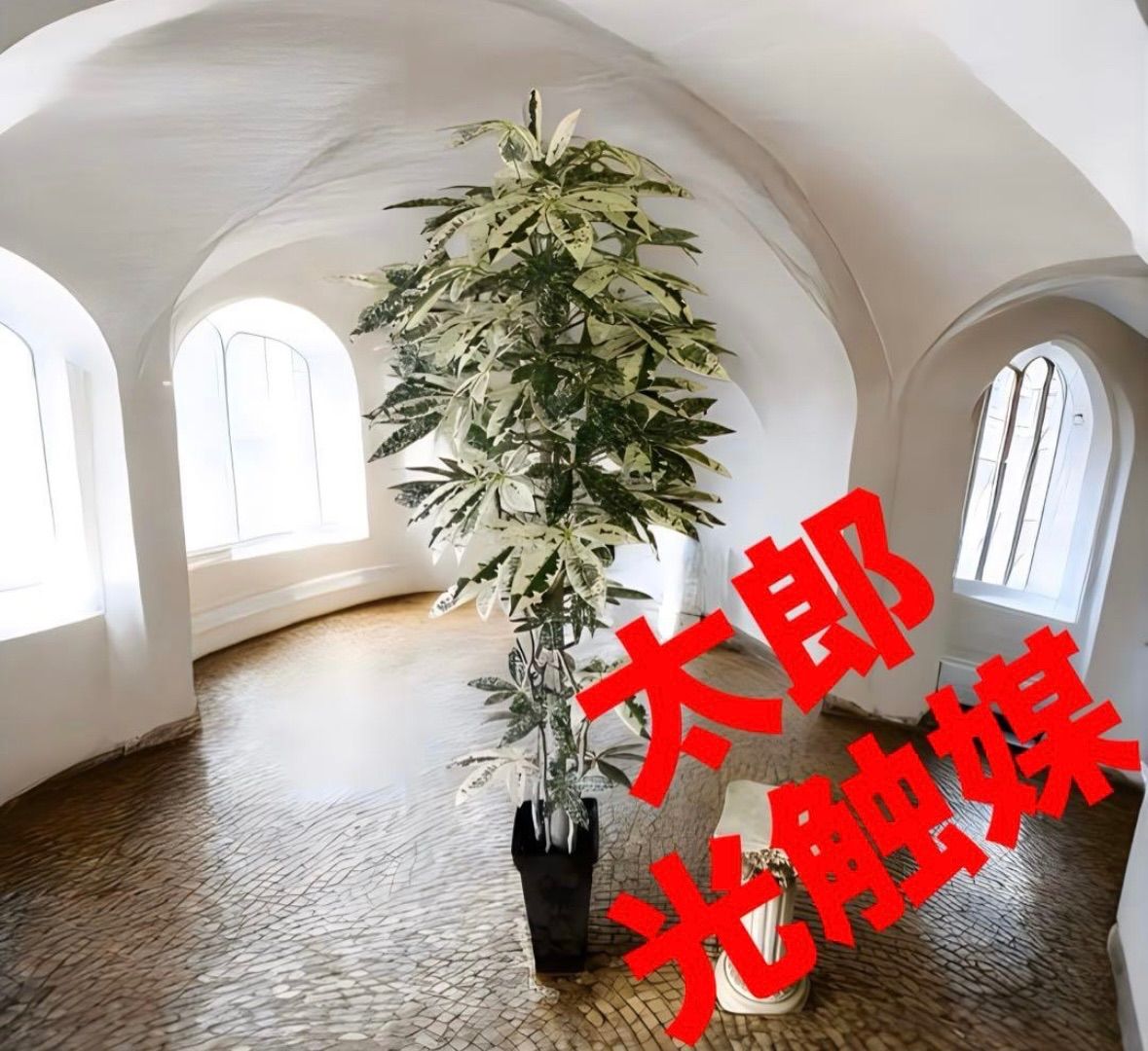 光触媒　人工観葉植物　ウォールグリーン　フェイクグリーン　斑入りパキラ175 光触媒 人工観葉植物 ウォールグリーン フェイクグリーン 斑入りパキラ