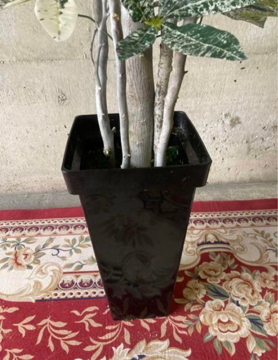 光触媒 人工観葉植物 ウォールグリーン フェイクグリーン 斑入りパキラ