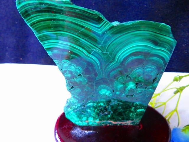 研磨済み 絶品100 A天然マラカイト原石台座付き超巨大408 g tr 26479 D 1