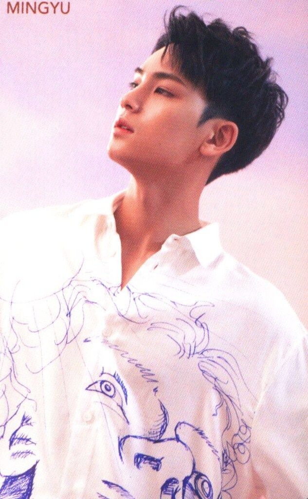 SEVENTEEN 舞い落ちる花びら MINGYU トレーディングカード Pink - メルカリ