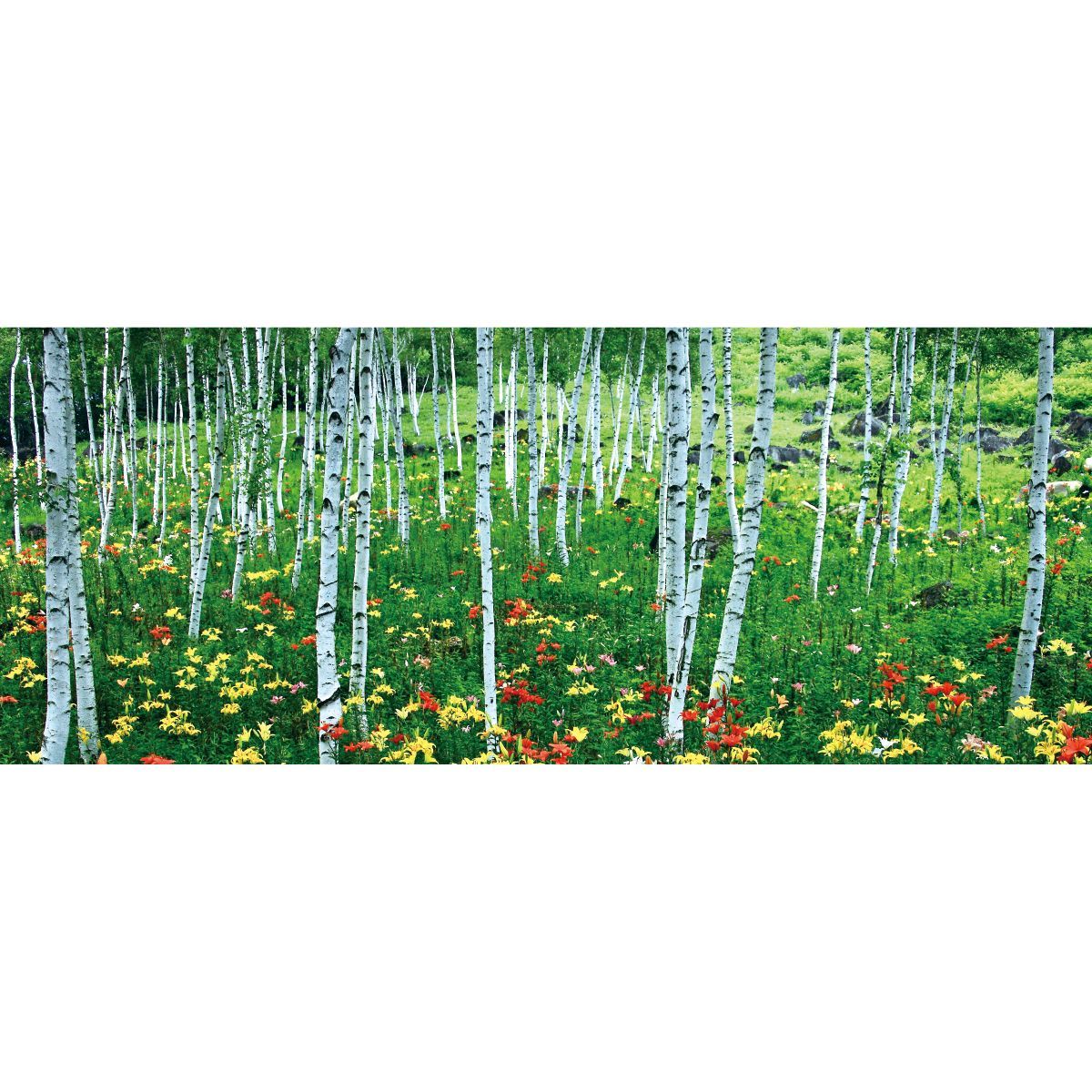 お風呂ポスター 防水ポスター