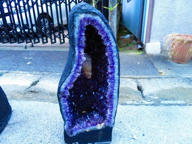 絶品濃い濃い超強パワー 超迫力 品 ウルグアイ産 天然水晶宝石 アメジストドーム超巨大75 kg 高さ640 mm tr 33506