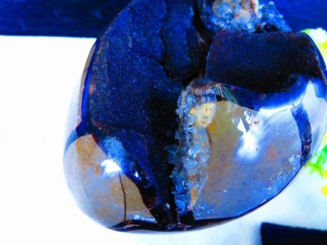  天然亀貝石 セプタリアン原石 自然石台付き 1 74 kｇ 160㎜ 〇tr 28941 オーナメント ラッピング 包装