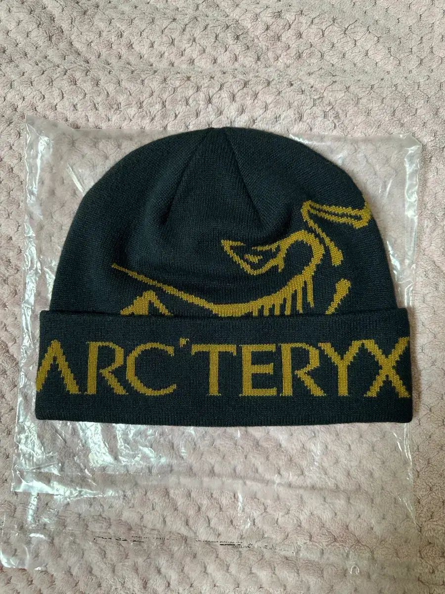 ARC TERYX BIRDARC Sトーク