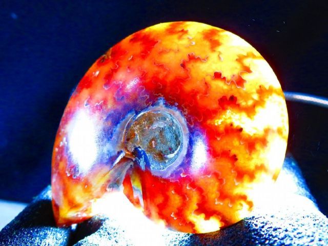 絶品数万個の中の一個☆天然マダガスカル産 ☆ 縫合線オパール