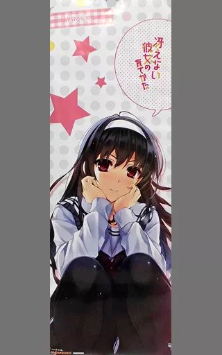 中古】ポスター キャラクタースリムポスター 霞ヶ丘詩羽(しゃがみ