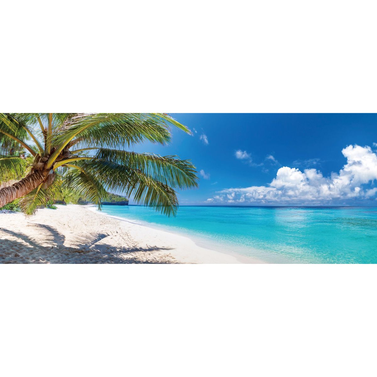 パノラマサイズ