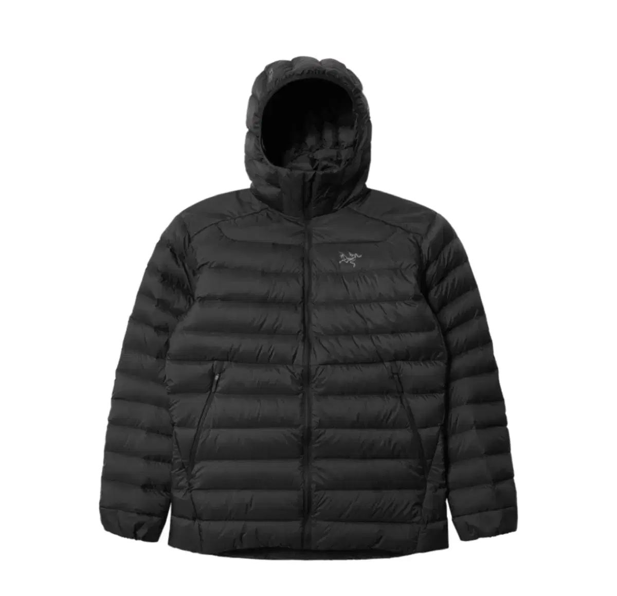 ARC TERYX Cerium アークテリクス セリウム フーディ XL