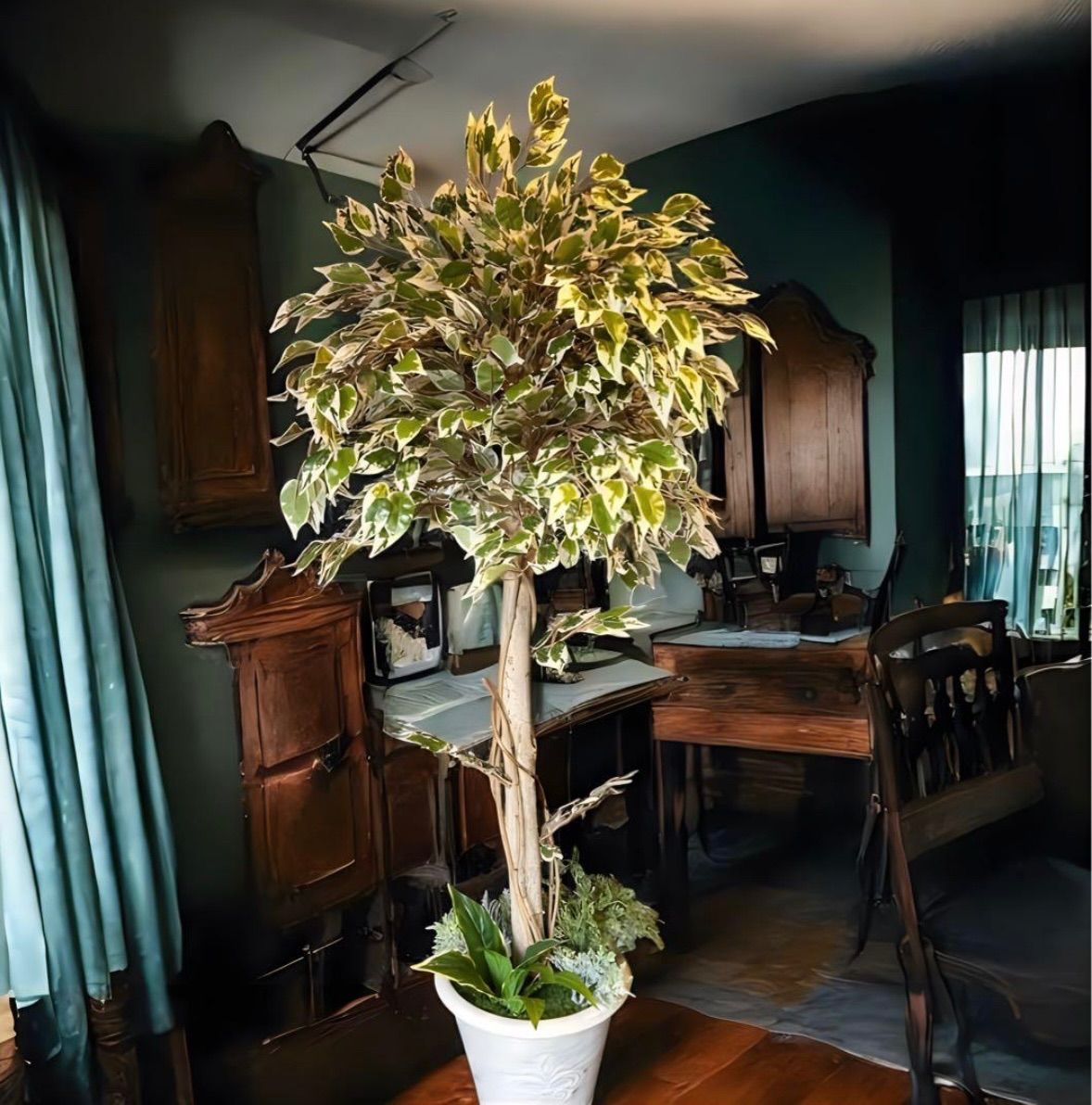 光触媒　人工観葉植物　ウォールグリーン　フェイクグリーン　斑入りベンジャミンwt 光触媒 人工観葉植物 ウォールグリーン フェイクグリーン 斑入り