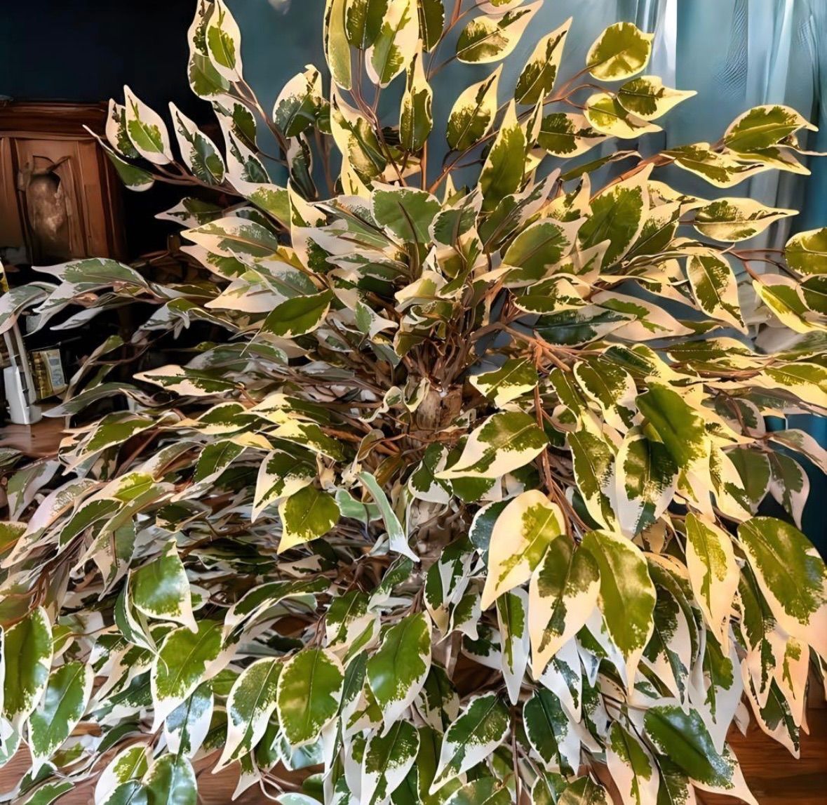 光触媒 人工観葉植物 ウォールグリーン フェイクグリーン 斑入り