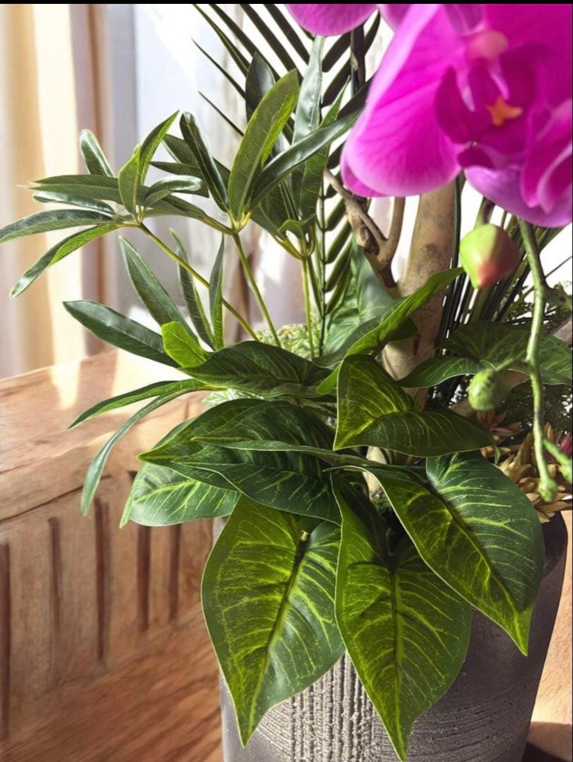 光触媒　人工観葉植物　ウォールグリーン　フェイクグリーン　シェフレラアレンジＲ 光触媒 人工観葉植物 ウォールグリーン フェイクグリーン シェフレラ