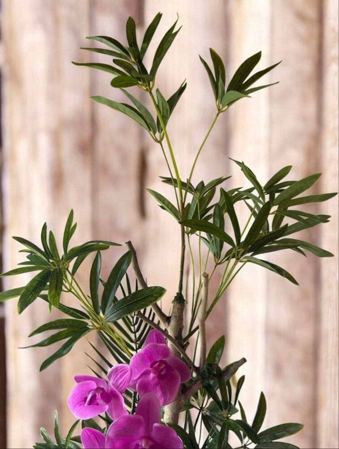 光触媒 人工観葉植物 ウォールグリーン フェイクグリーン シェフレラ