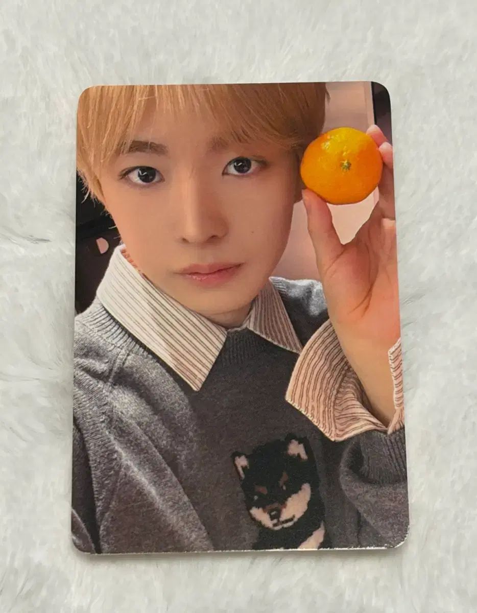 NCT WISH カラー EVERLINE 未公開トレカ ラキドロ 2次 結 -YOU- トレカ