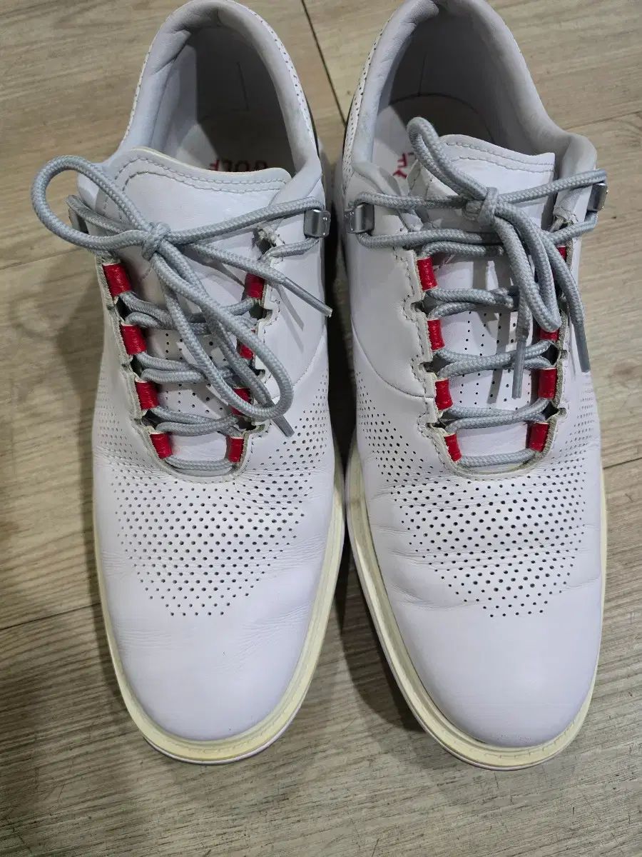 ナイキ ゴルフ ジョーダン ADG4 スパイクレス ゴルフシューズ 270.5mm