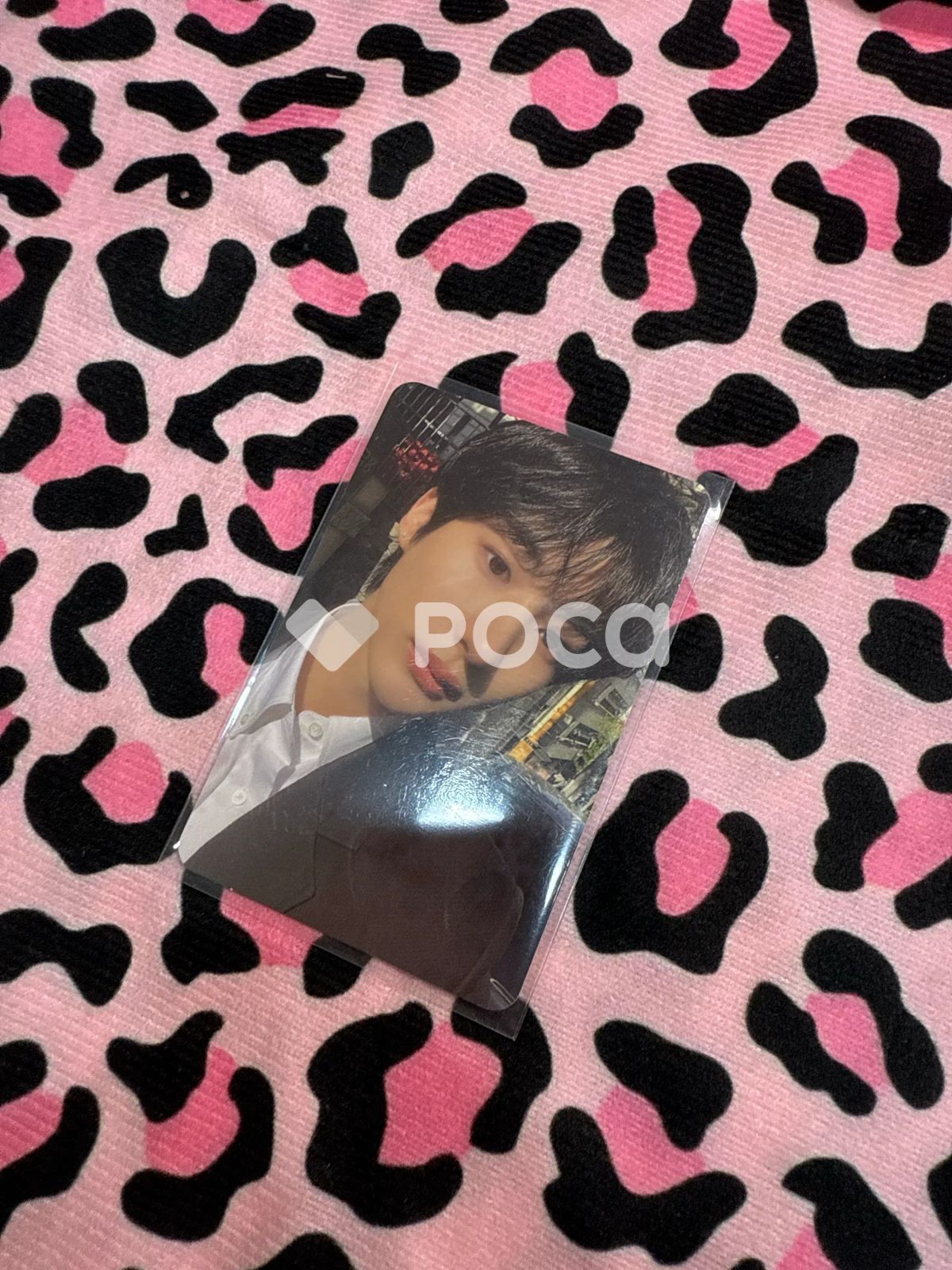 限定SALE，正規品 RIIZE アントン RIIZING Photo Pack Ver. 写真・チェキ