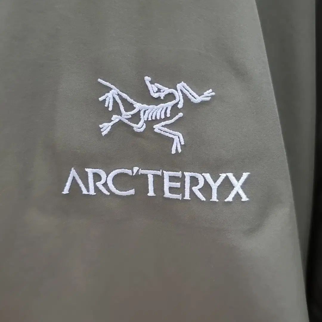 ARC TERYX アークテリクス ベータlt タツ L