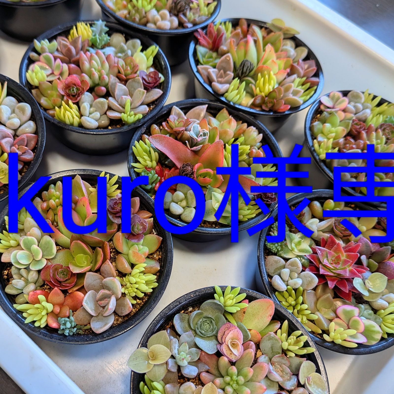 kuro様専用 - メルカリ