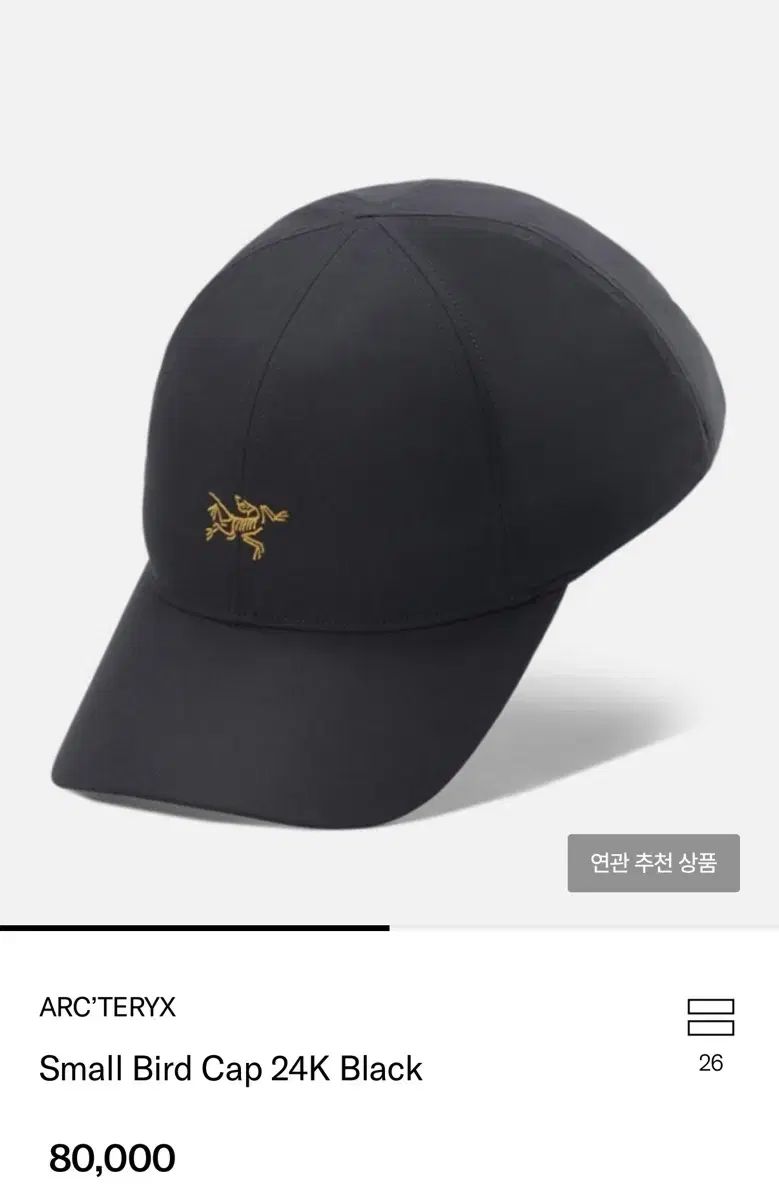 ARC TERYX アークテリクス スモール BIRD キャップ 24 K ブラック