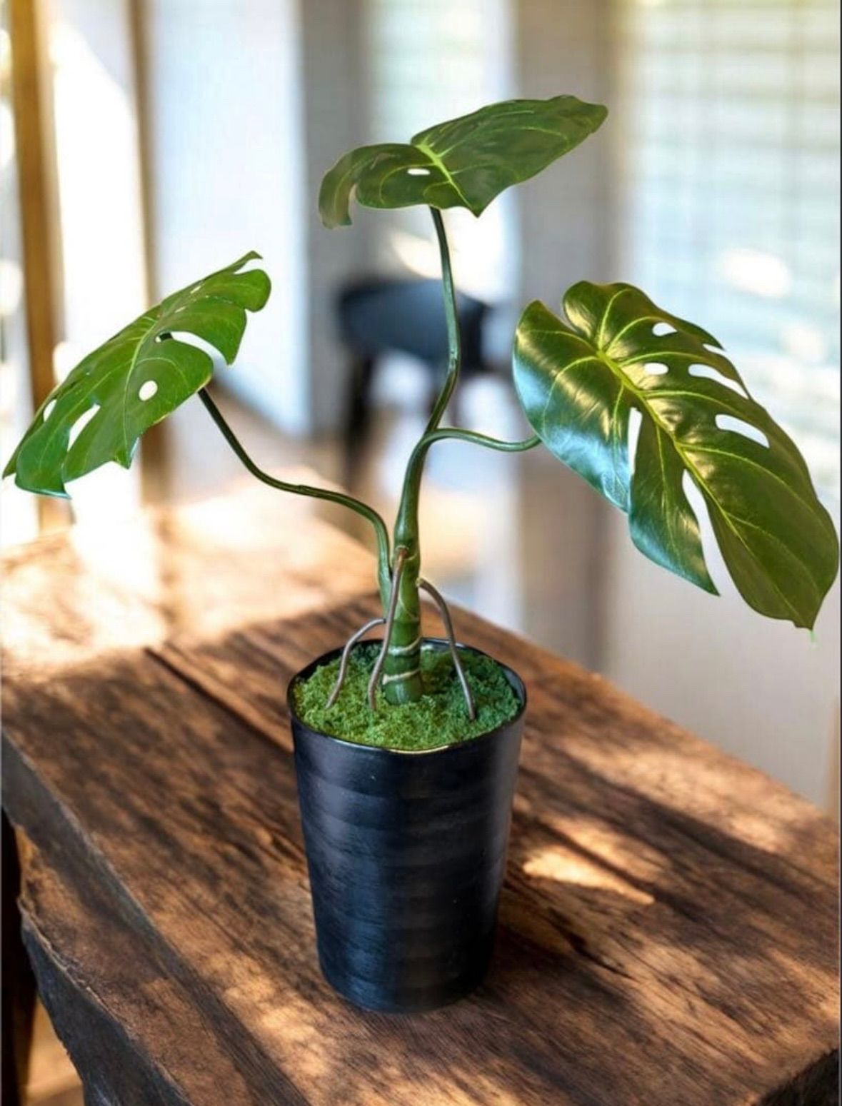 光触媒 人工観葉植物 ウォールグリーン フェイクグリーン モンステラ