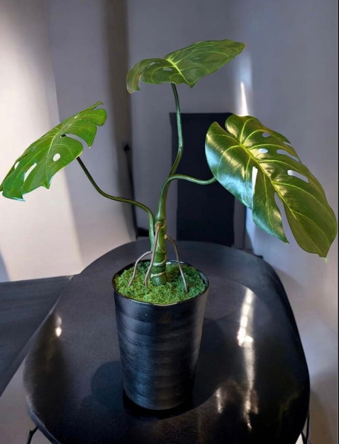 光触媒 人工観葉植物 ウォールグリーン フェイクグリーン モンステラ