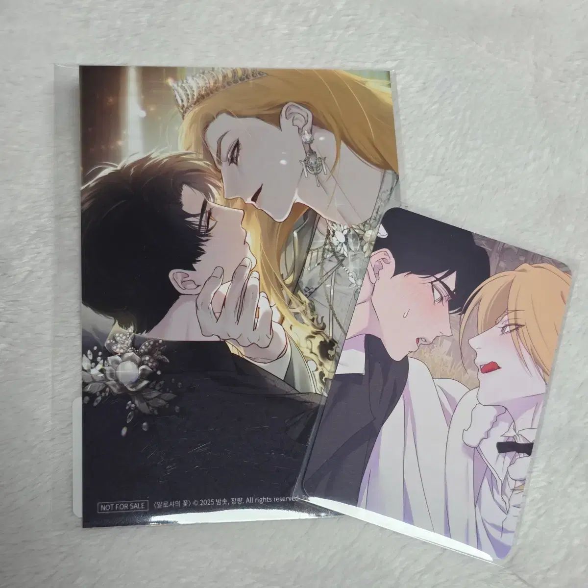 まとめ売り) BOMTOON HOME パーティー ポップアップ アル=チュール