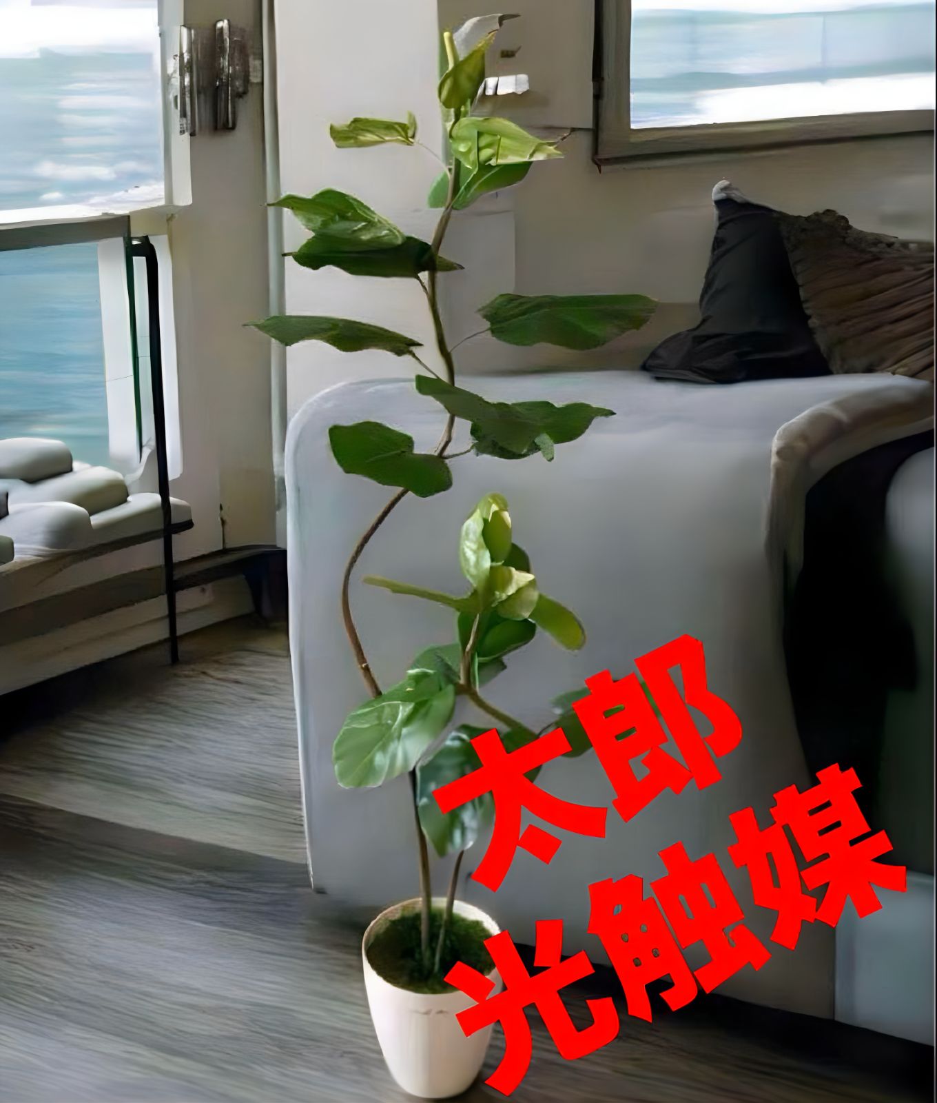 光触媒 人工観葉植物 フェイクグリーン クネクネウンベラータwa 【公式