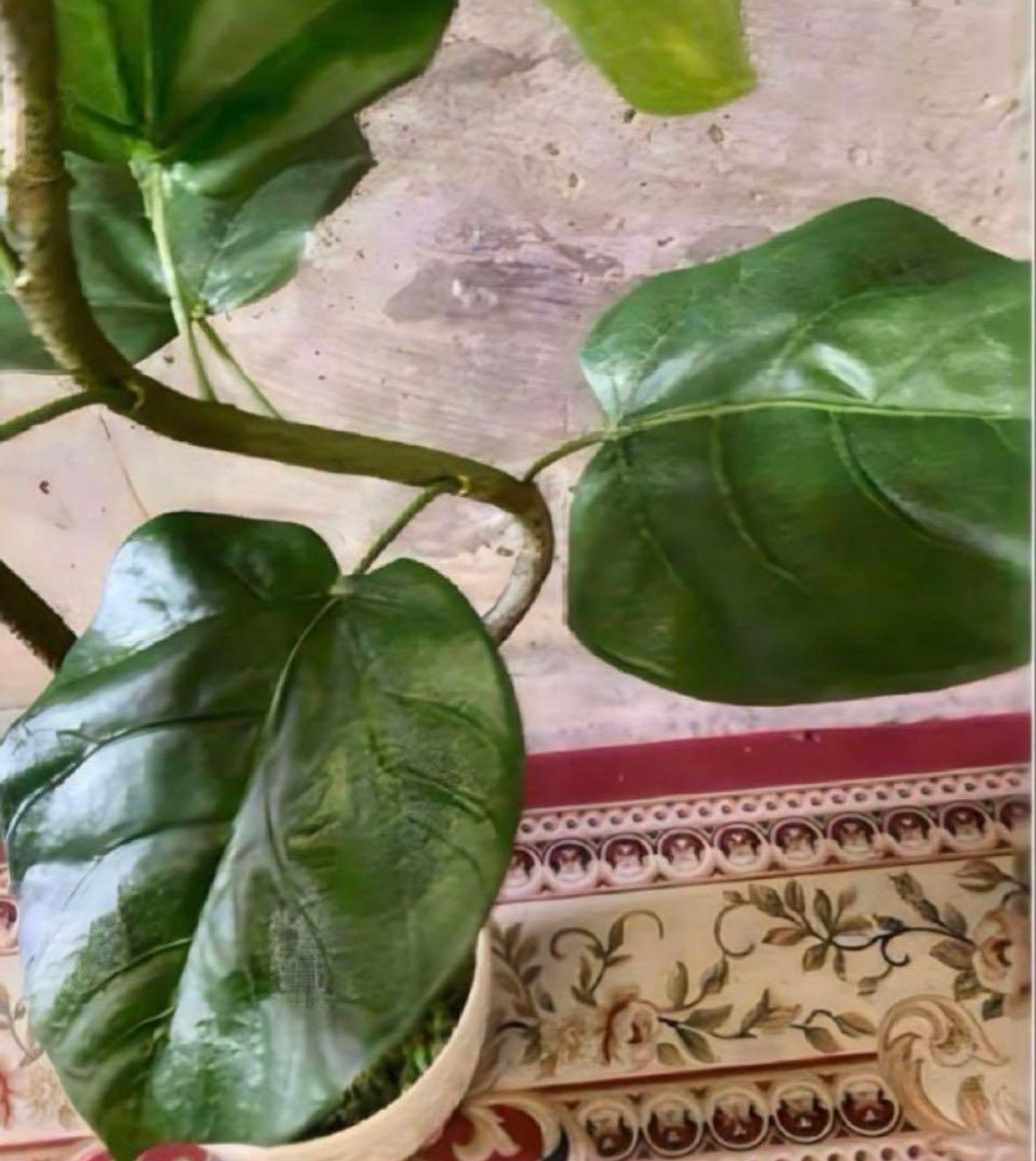 光触媒 人工観葉植物 フェイクグリーン クネクネウンベラータwa 【公式