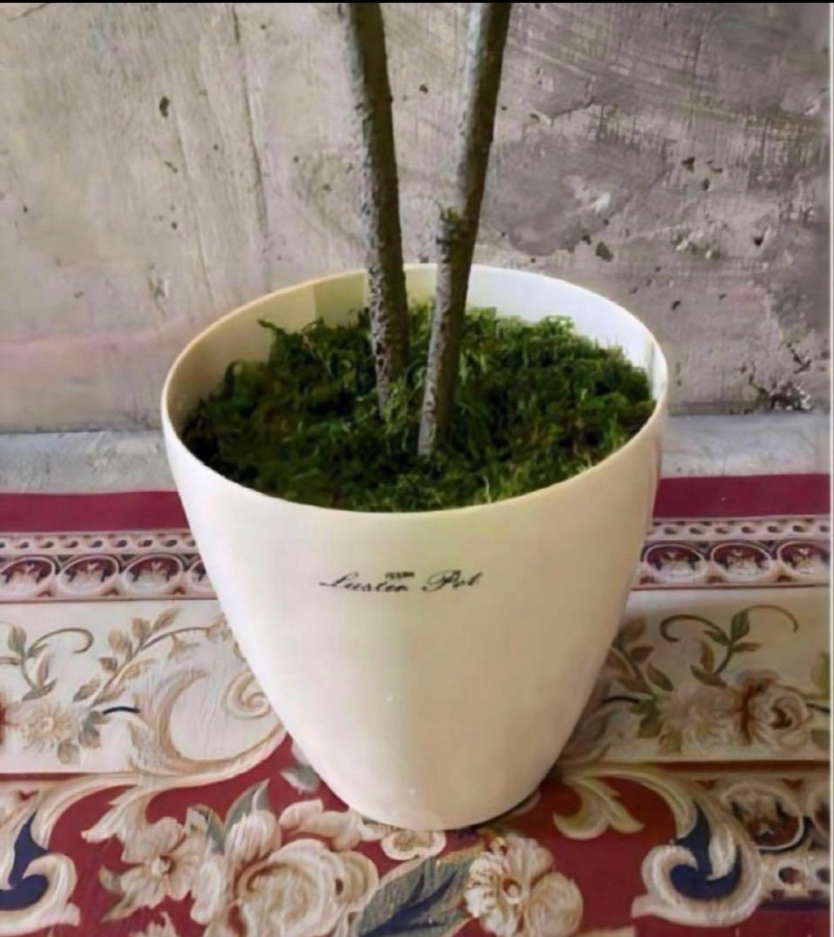 光触媒　人工観葉植物　フェイクグリーン　クネクネウンベラータwa 光触媒 人工観葉植物 フェイクグリーン クネクネウンベラータwa 【公式