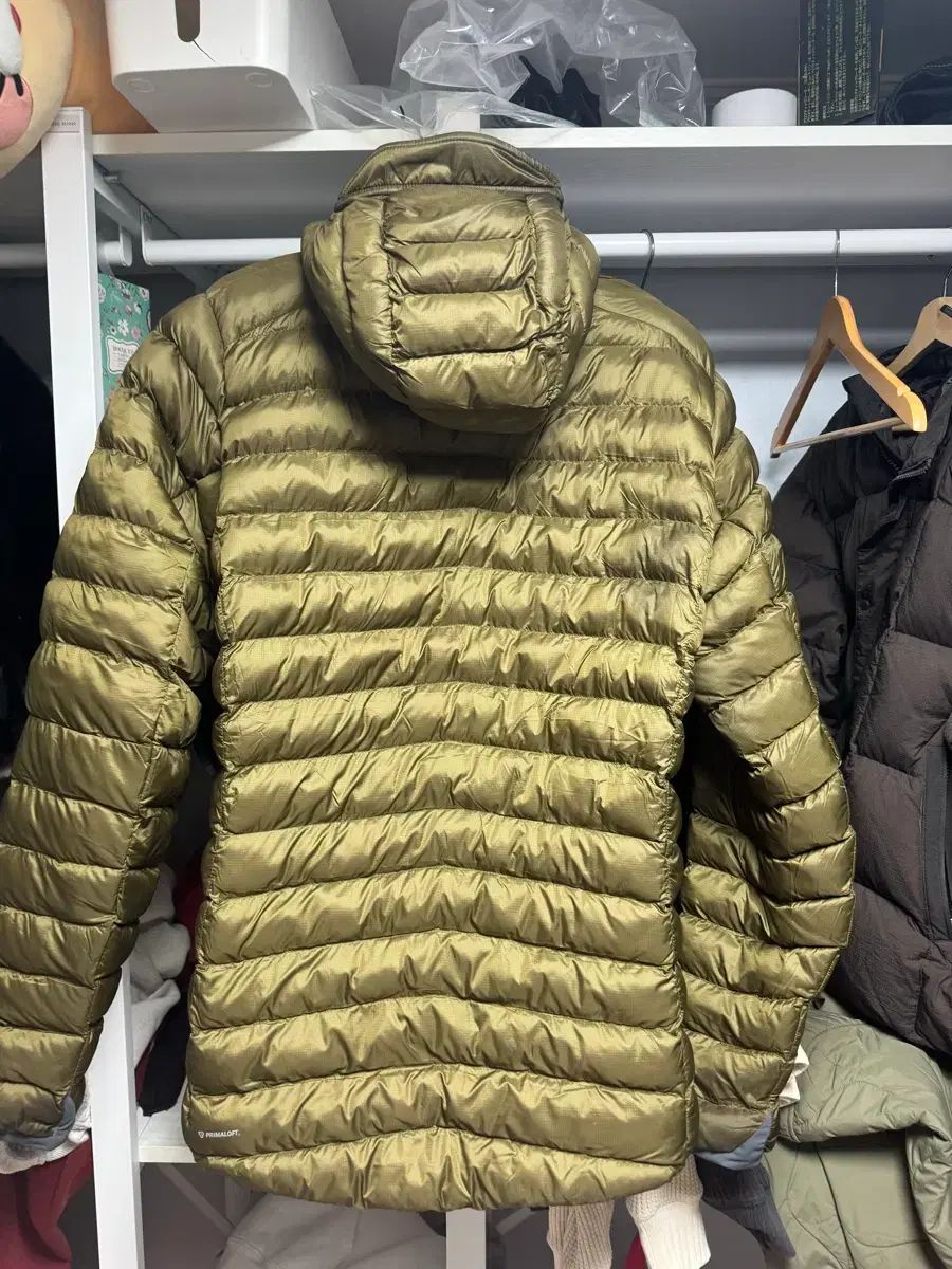 ラブ シーラス アルパイン L オーク