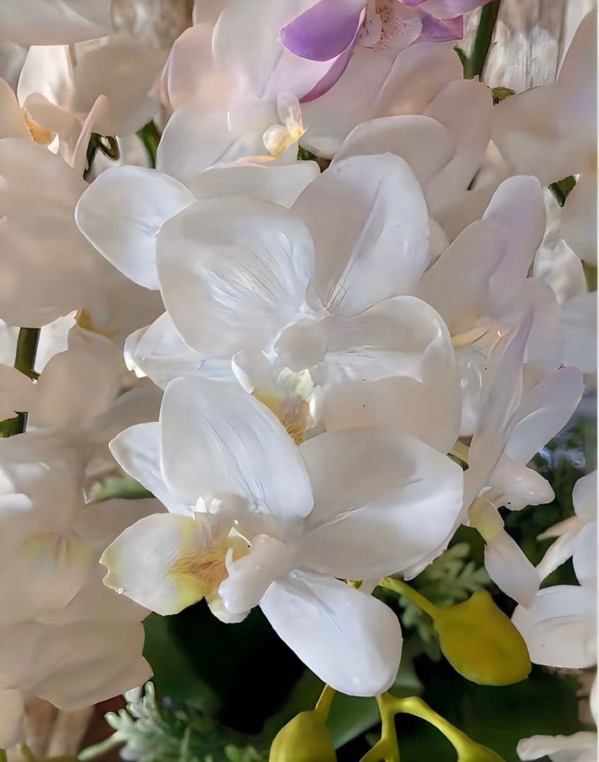 光触媒 人工観葉植物 ウォールグリーン フェイクグリーン 胡蝶蘭と