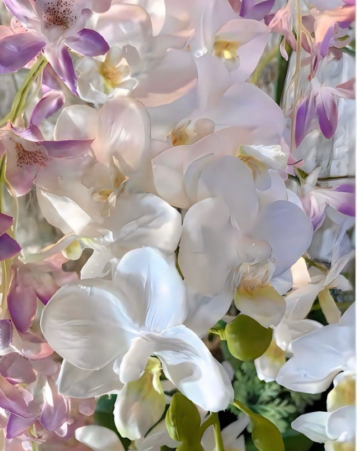 光触媒 人工観葉植物 ウォールグリーン フェイクグリーン 胡蝶蘭と