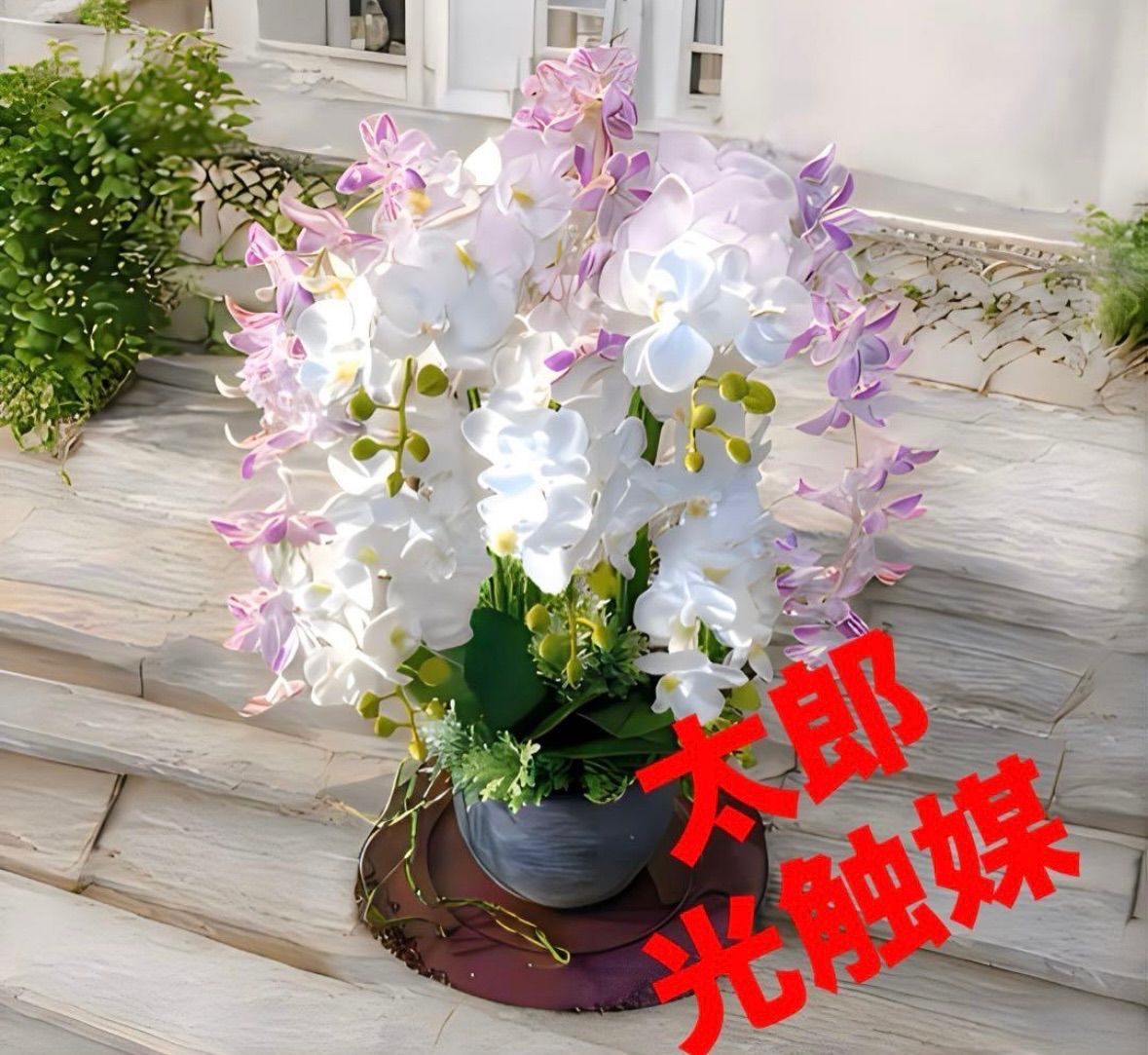 光触媒 人工観葉植物 ウォールグリーン フェイクグリーン 胡蝶蘭と