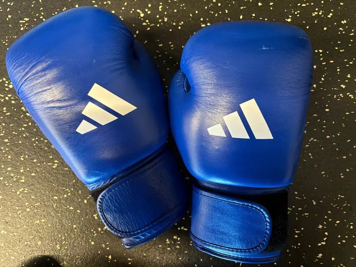 アディダス アイバ ボクシング グローブ ブルー