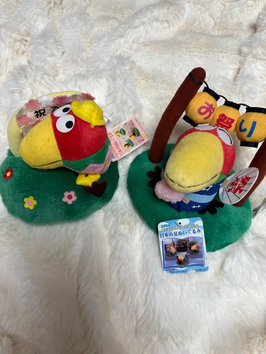 超激得，お買い得 夏色 まつりインコ / 幼稚園インコ その他