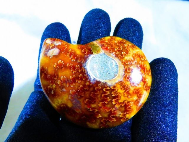 絶品数万個の中の一個☆天然マダガスカル産 ☆ 縫合線オパール