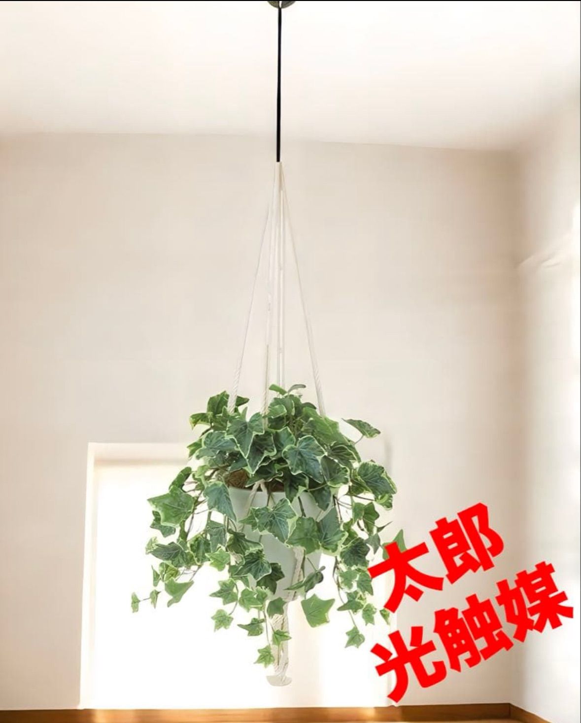 光触媒　観葉植物　ウォールグリーン　フェイクグリーン　壁掛けグレイシアアイビー 光触媒 観葉植物 ウォールグリーン フェイクグリーン 壁掛けグレイシア