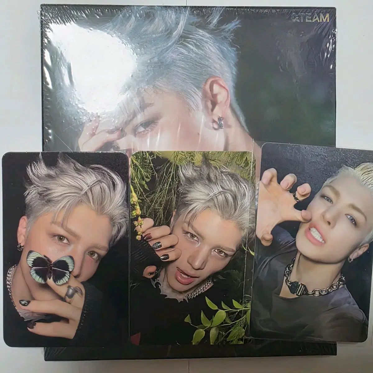 앤팀 Back to Life Roar マキ 未開封 アルバム トレカセット - メルカリ