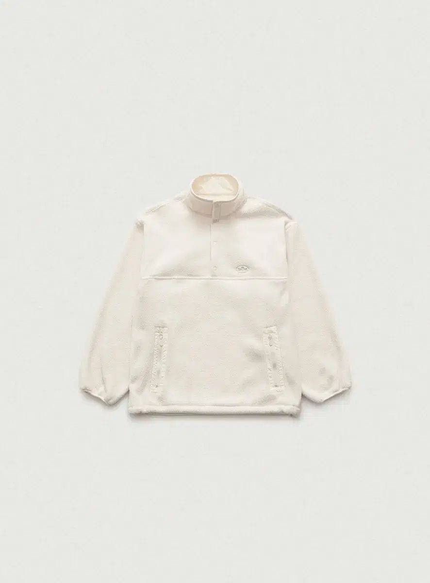 希少 アカンサセアエfrom Ecuador（maybe）/ジュエルオーキッド/ 希少